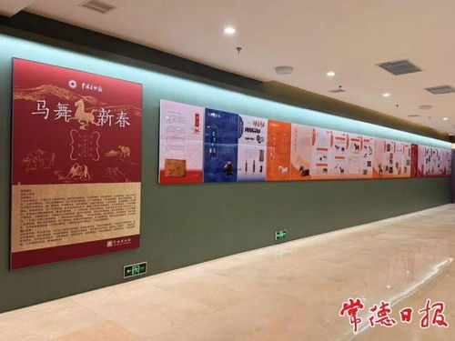 馬年赴常德博物館觀馬展 一場(chǎng)穿越千年的文化藝術(shù)之旅